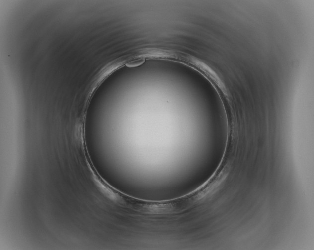 X0000110771433200906151317