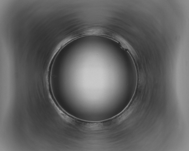 X0000110771434200906151317