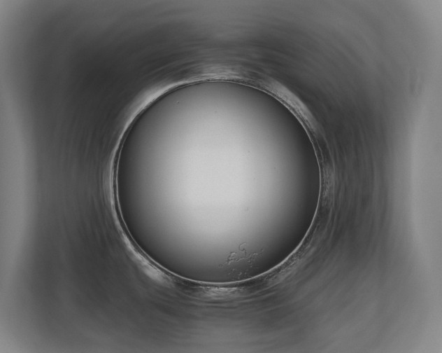 X0000110771439200906151317