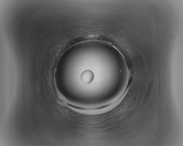 X0000110771441200906151316