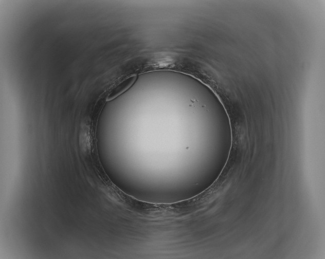 X0000110771442200906151316