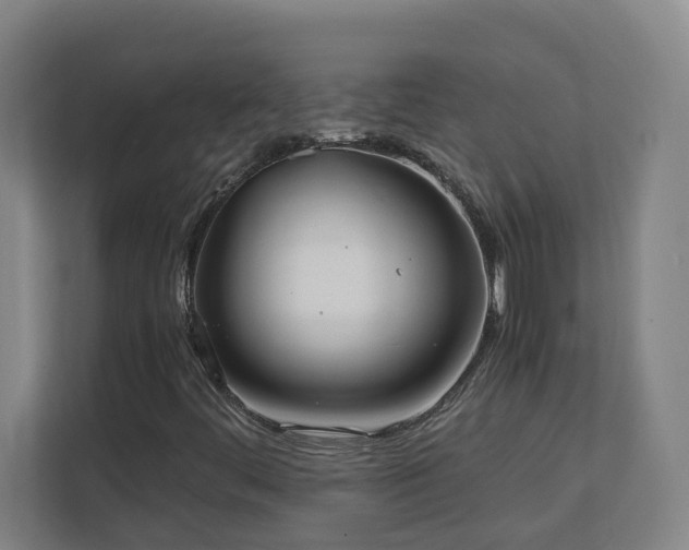 X0000110771444200906151316