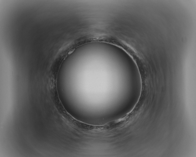 X0000110771447200906151316