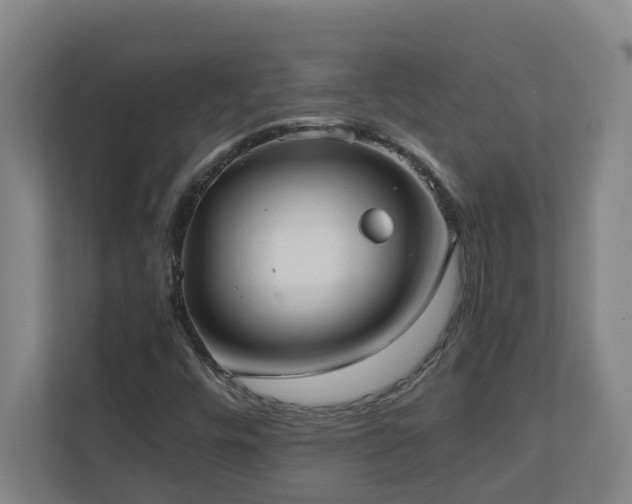 X0000110771448200906151316