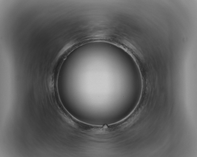 X0000110771450200906151316
