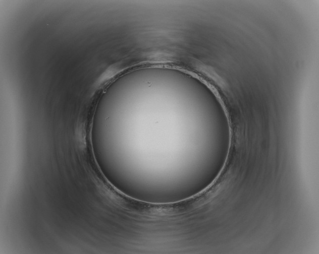 X0000110771451200906151316