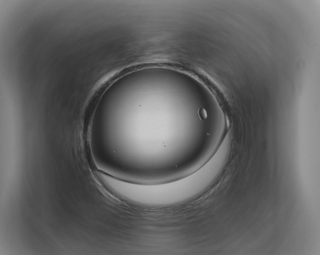 X0000110771452200906151316