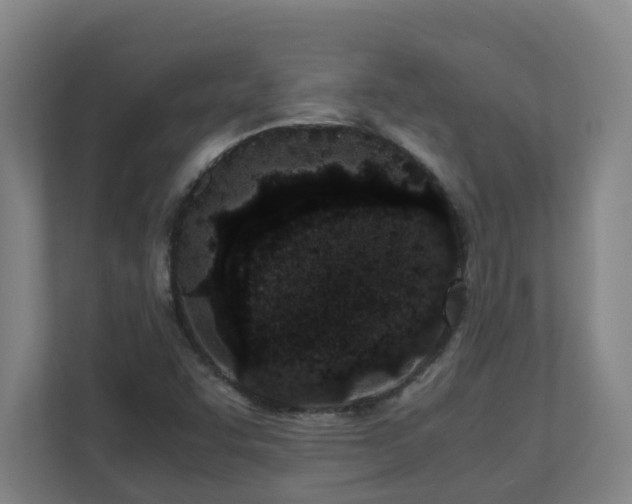 X0000110771455200906151316
