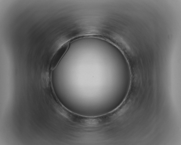 X0000110771457200906151316