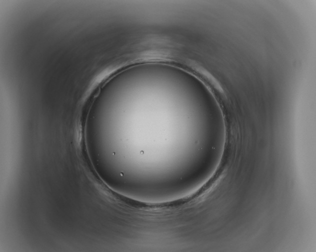 X0000110771461200906151316