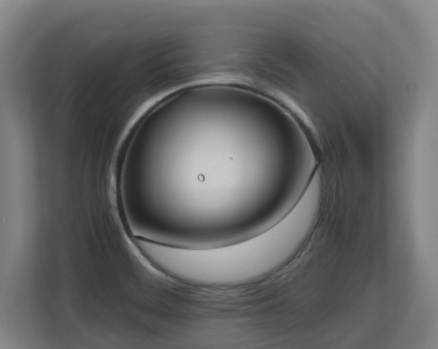 X0000110771468200906151316
