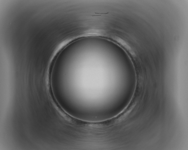 X0000110771469200906151316