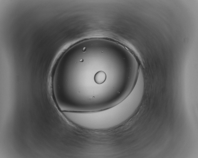 X0000110771472200906151316