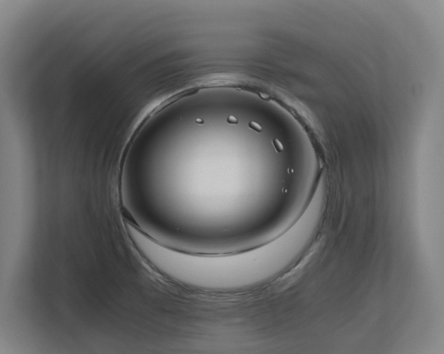 X0000110771473200906151316
