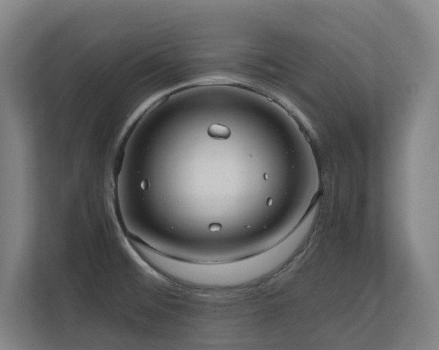 X0000110771476200906151316
