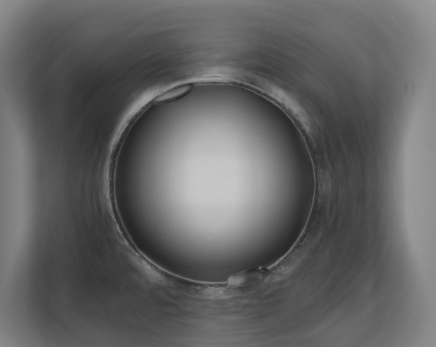 X0000110771480200906151316