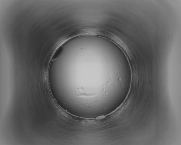 X0000110771481200906151316