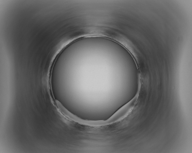 X0000110771485200906151316