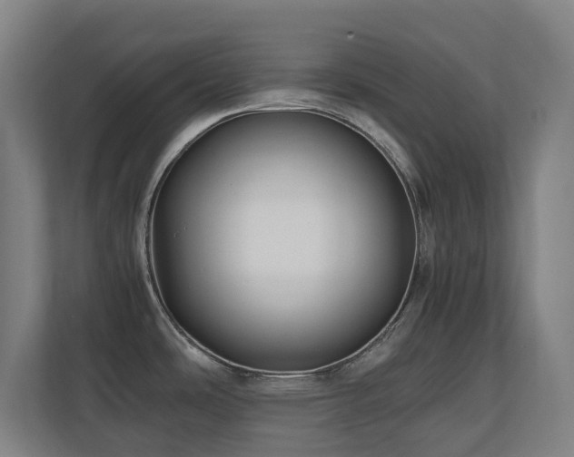 X0000110771486200906151316