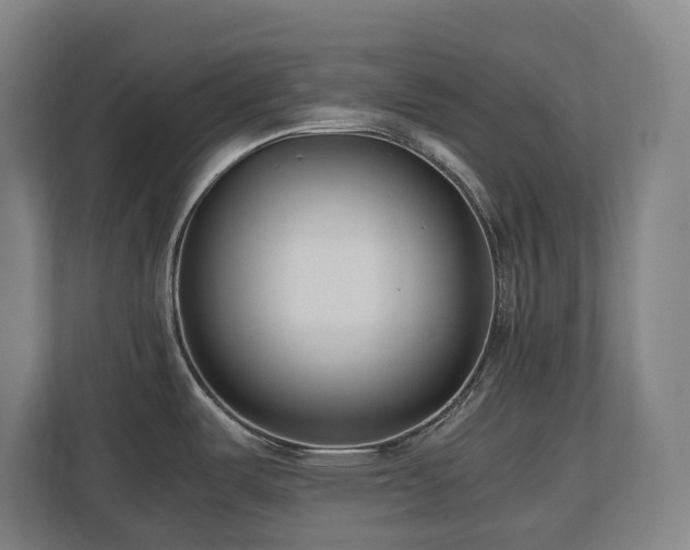 X0000110771487200906151316
