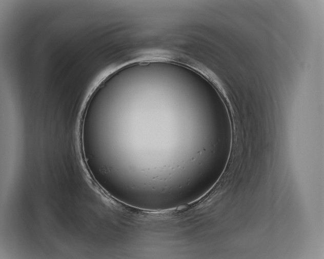 X0000110771488200906151316
