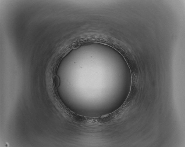 X0000110771489200906151315