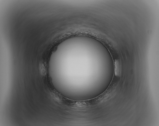X0000110771491200906151315