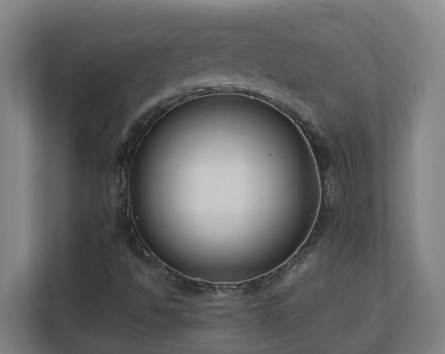 X0000110771494200906151315