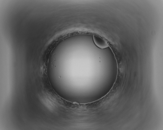 X0000110771495200906151315