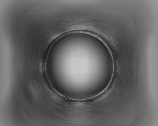 X0000110771497200906151315