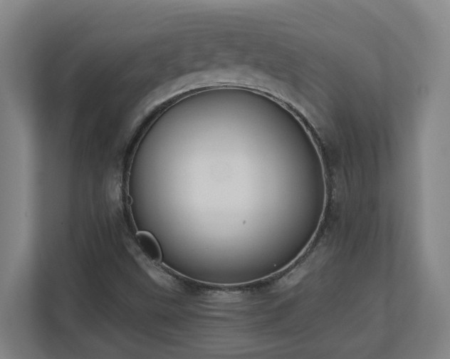 X0000110771499200906151315