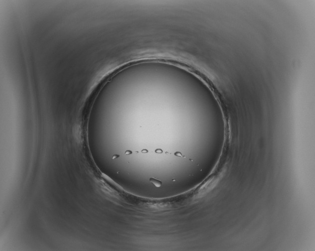 X0000110771501200906151315