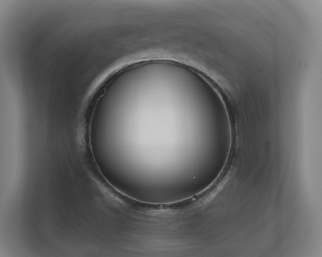 X0000110771502200906151315