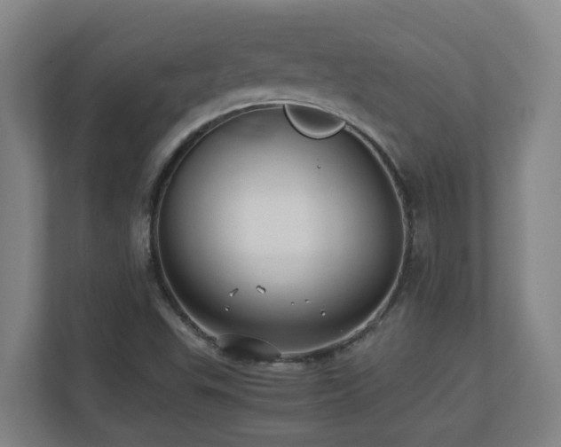 X0000110771503200906151315