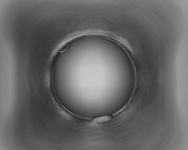 X0000110771504200906151315