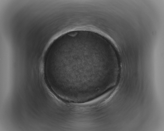 X0000110771506200906151315