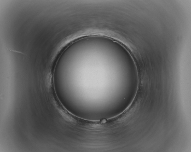 X0000110771507200906151315