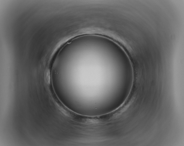 X0000110771509200906151315