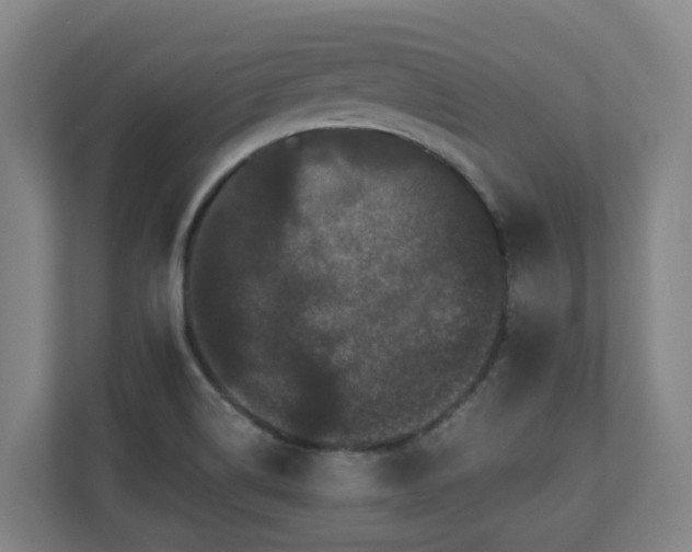 X0000110771514200906151315