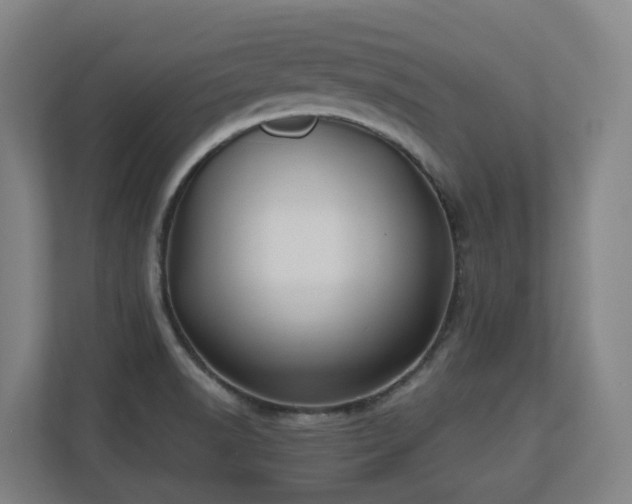 X0000110771518200906151315