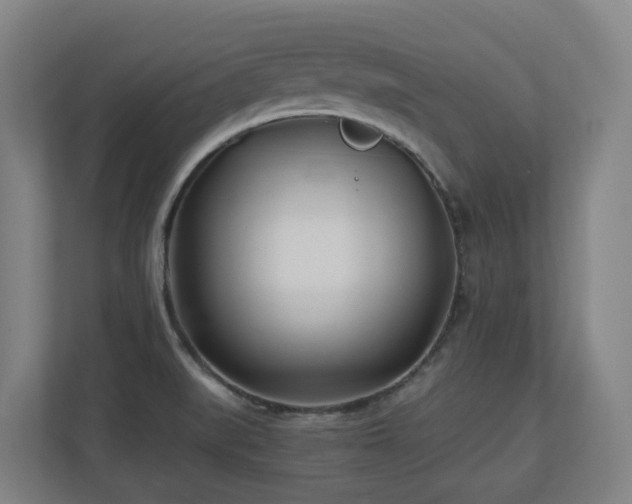 X0000110771519200906151315