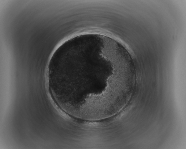X0000110771522200906151315