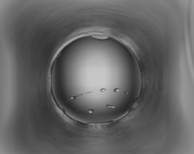 X0000110771524200906151315