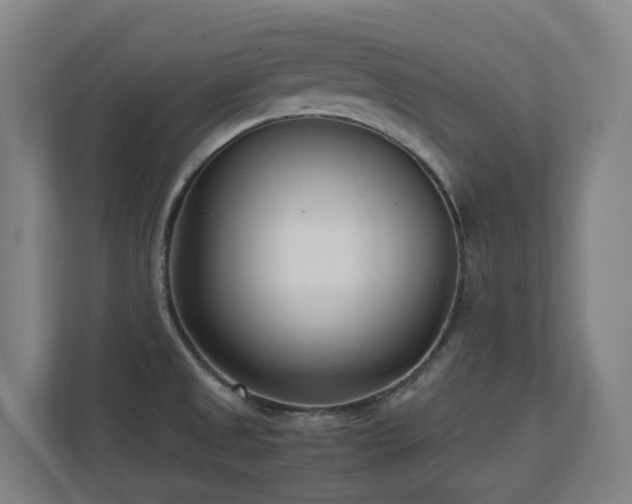 X0000110771525200906151315