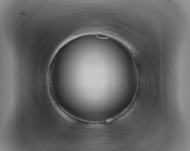X0000110771526200906151315