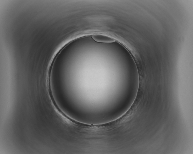 X0000110771527200906151315