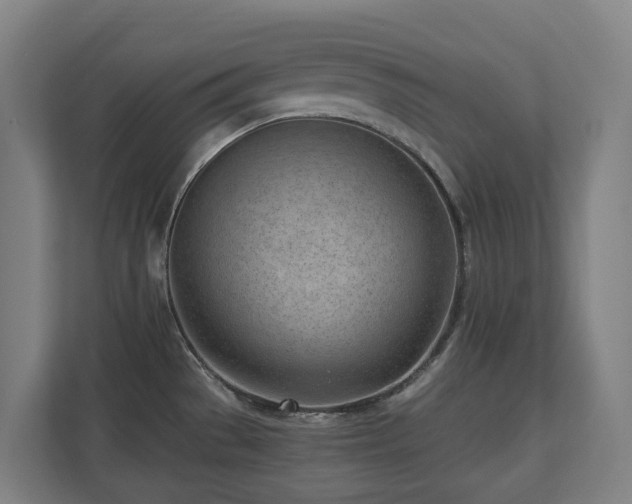 X0000110771529200906151315