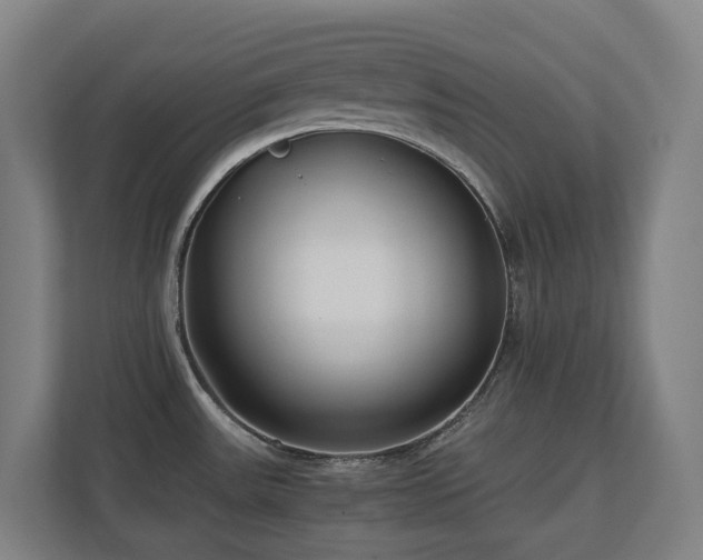 X0000110771531200906151315