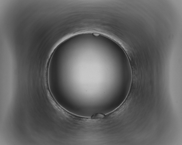 X0000110771534200906151316