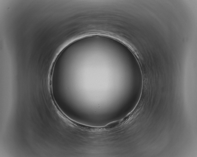 X0000110771535200906151316